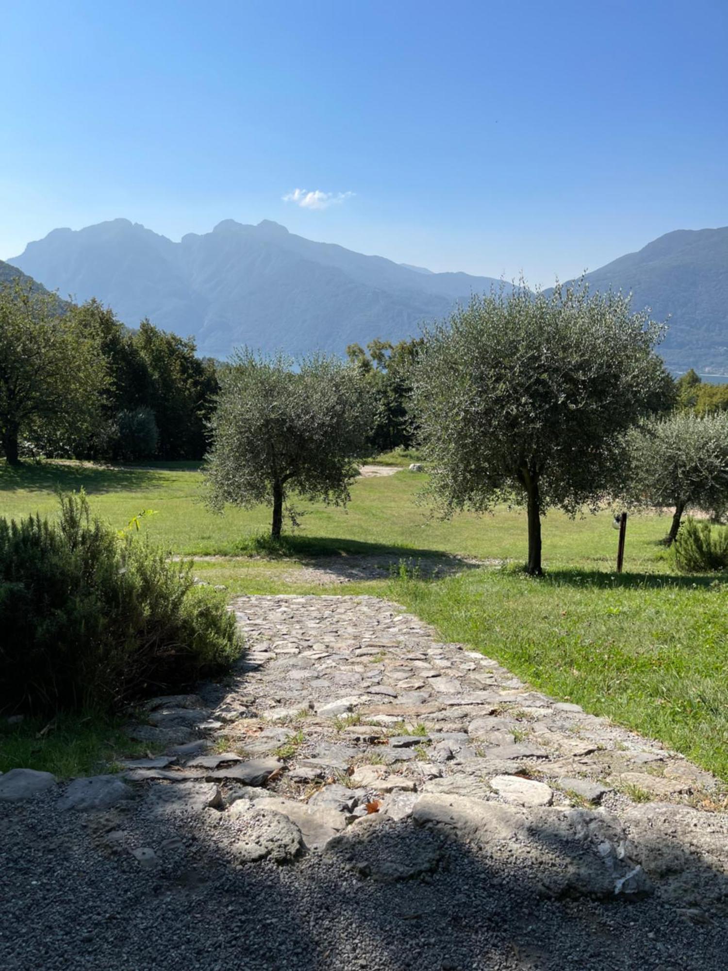 Agriturismo La Selvaggia Mandello del Lario Ngoại thất bức ảnh